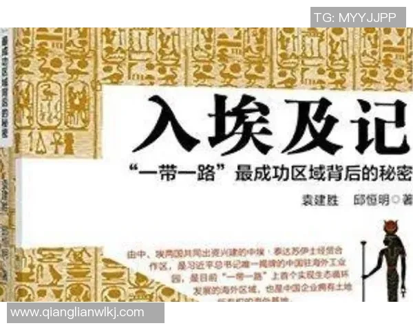 深圳篮球队防反战术解析：深度剖析其成功背后的秘密与技巧